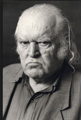 Mario MERZ